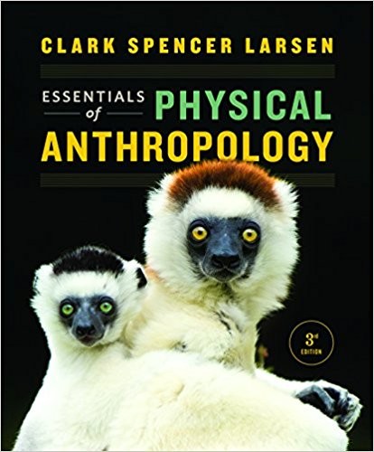 Essentials of Physical Anthropology (Third Edition)