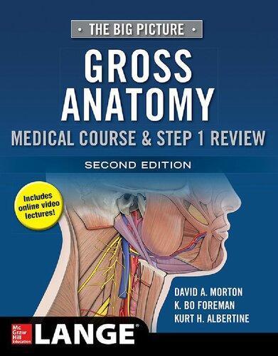 Gross Anatomy The Big Picture 2Nd Edition