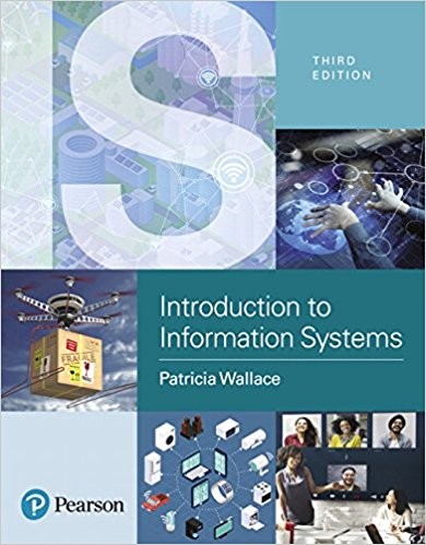 Introduction to Information Systems: People, Technology and Processes 3rd Edition