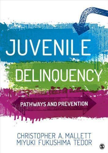 Juvenile Delinquency Pathways And Prevention