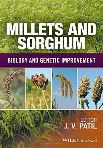 Millets And Sorghum Biology And Genetic Improvement