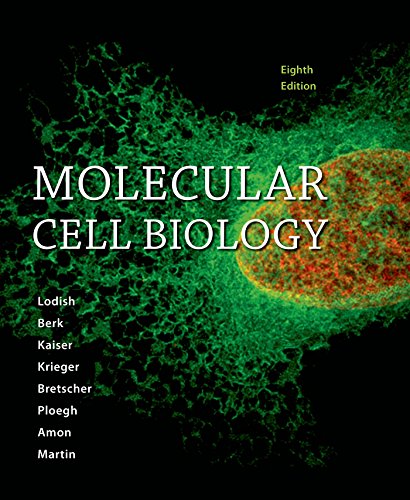 Molecular Cell Biology (8th Edition)