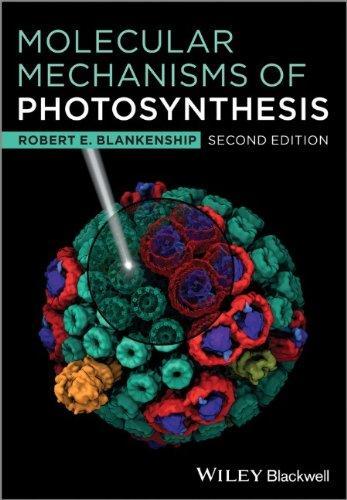 Molecular Mechanisms Of Photosynthesis