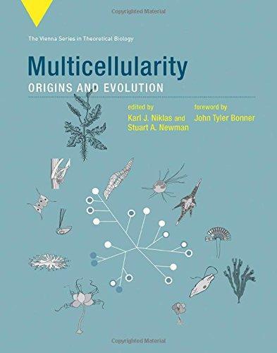 Multicellularity Origins And Evolution