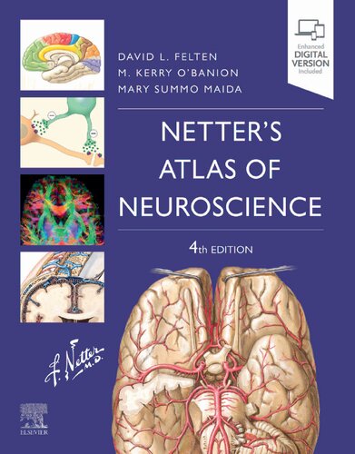 Netter's Atlas of Neuroscience (Netter Basic Science)
