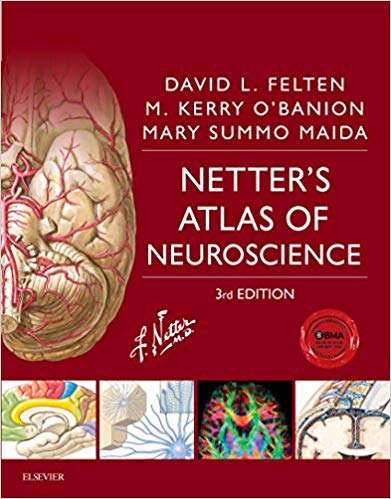 Netter's Atlas of Neuroscience 3rd Edition
