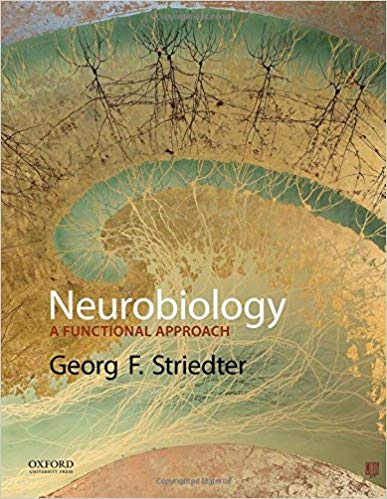 Neurobiology: A Functional Approach