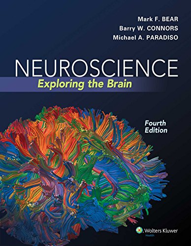 Neuroscience: Exploring the Brain (4th Edition) + Testbank