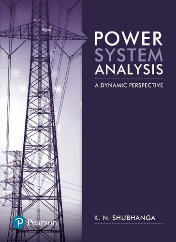 Power System Analysis: A Dynamic Perspective