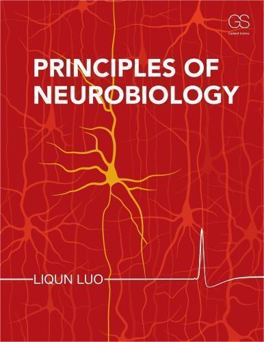 Principles Of Neurobiology