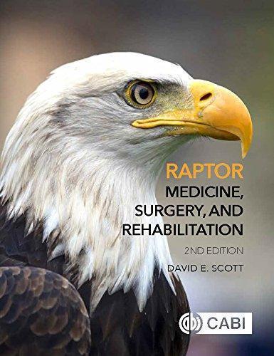 Raptor Medicine Surgery And Rehabilitation 2Nd Edition