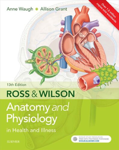 Ross &amp; Wilson Anatomy and Physiology in Health and Illness
