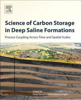 Science of Carbon Storage in Deep Saline Formations: Process Coupling Across Time and Spatial Scales