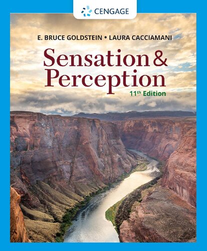 Sensation and Perception