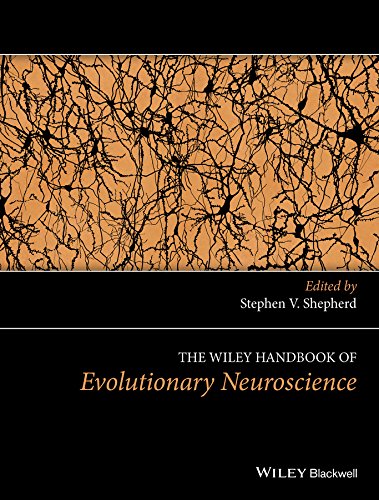 The Wiley Handbook of Evolutionary Neuroscience (WileyClinical Psychology Handbooks)