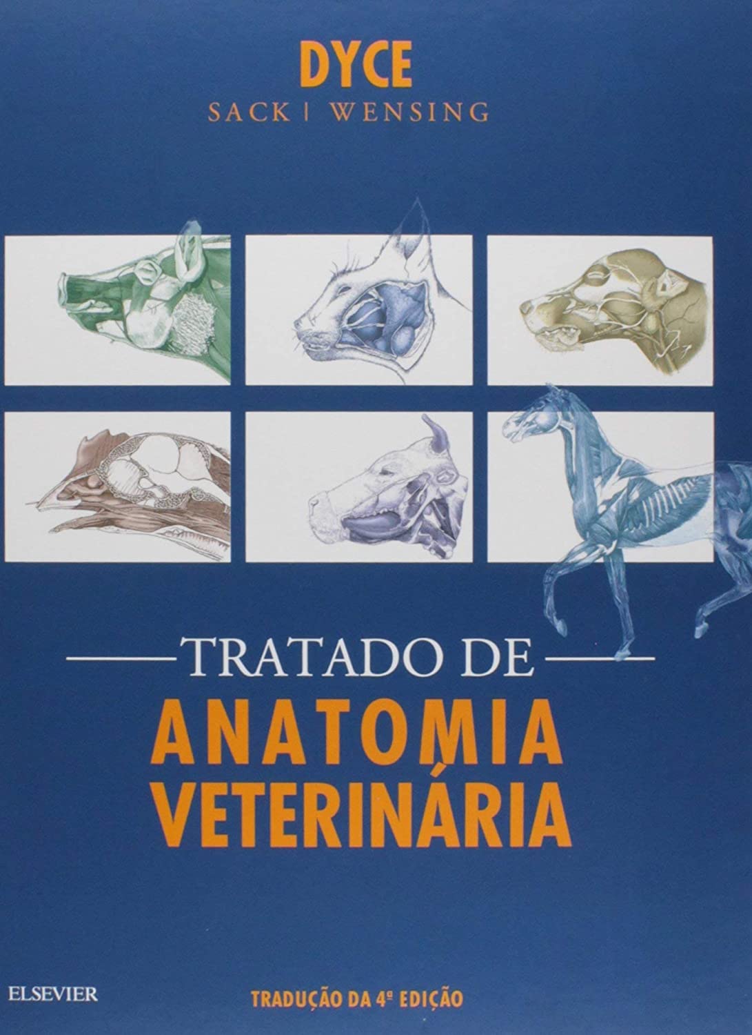 Tratado de anatomia veterinÃƒÂ¡ria