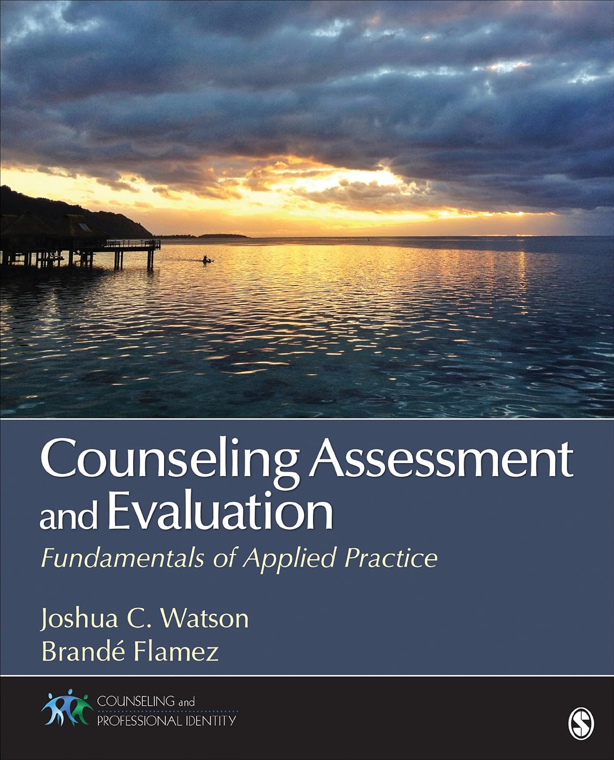 Counseling Assessment and Evaluation: Fundamentals of Applied Practice (Counseling and Professional Identity) (PDF/EPUB Version)