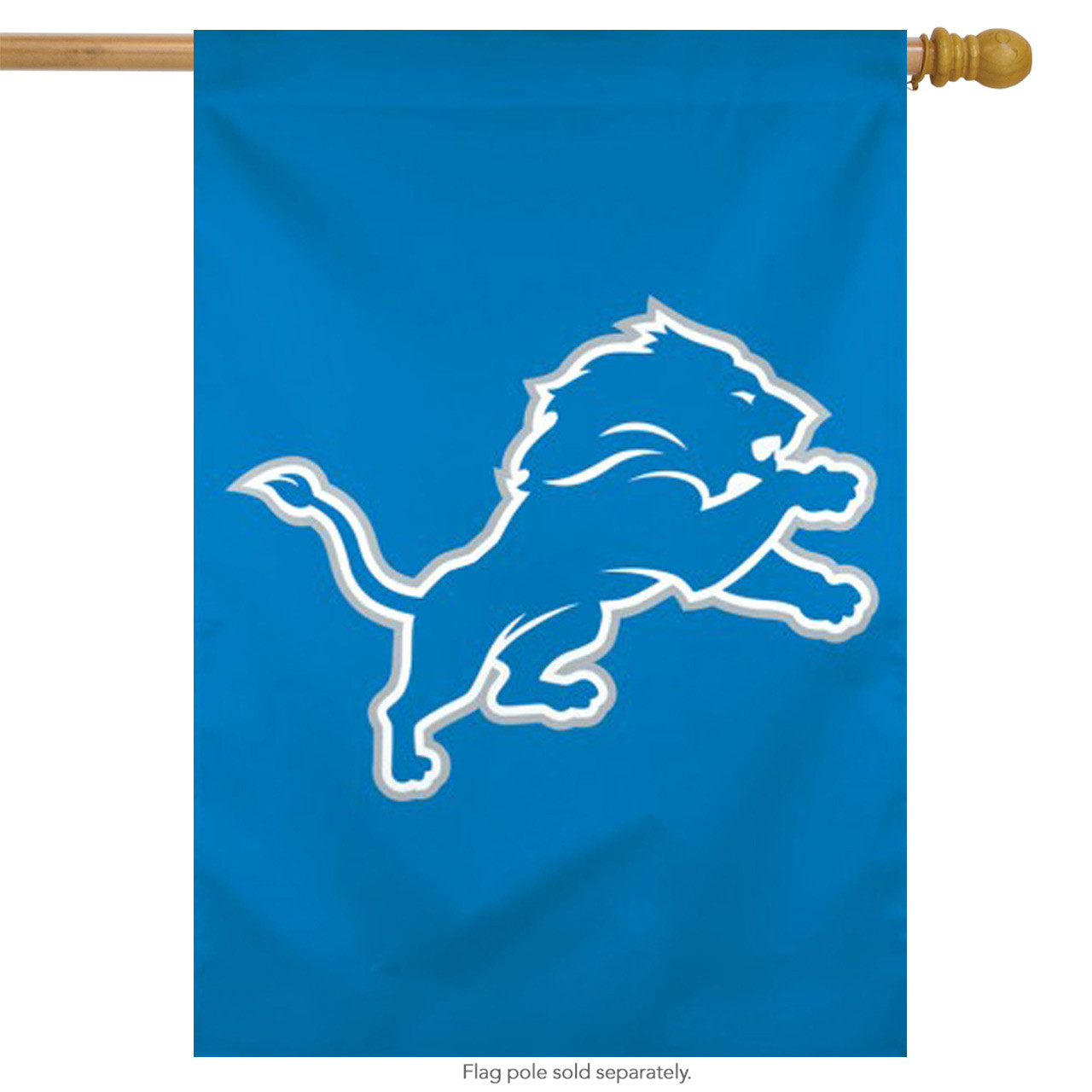Detroit Lions NFL Vertical Garden Flag, House Flag