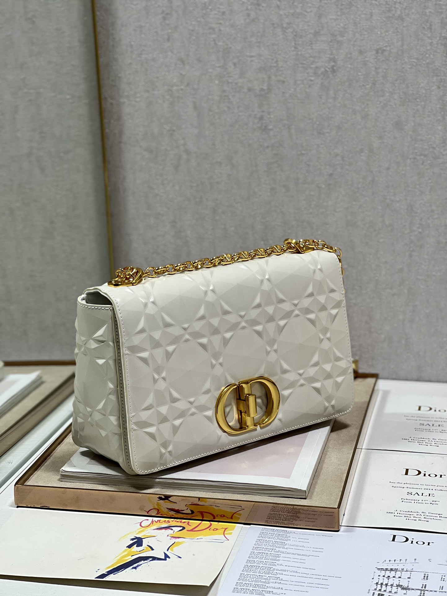 Dior Large Caro Bag White/Black/Brown/Grey For Women 11.5in/29cm