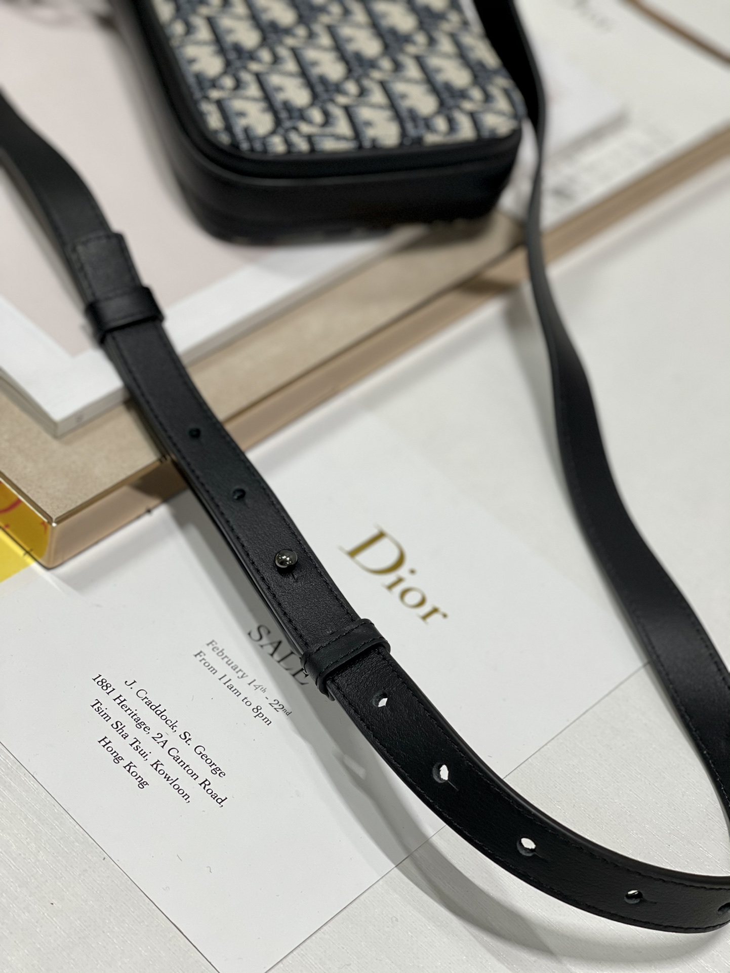 Dior Saddle Vertical Pouch With Strap Beige/Black For Women 8.5in/22cm 2ADCA446YKS_H27E