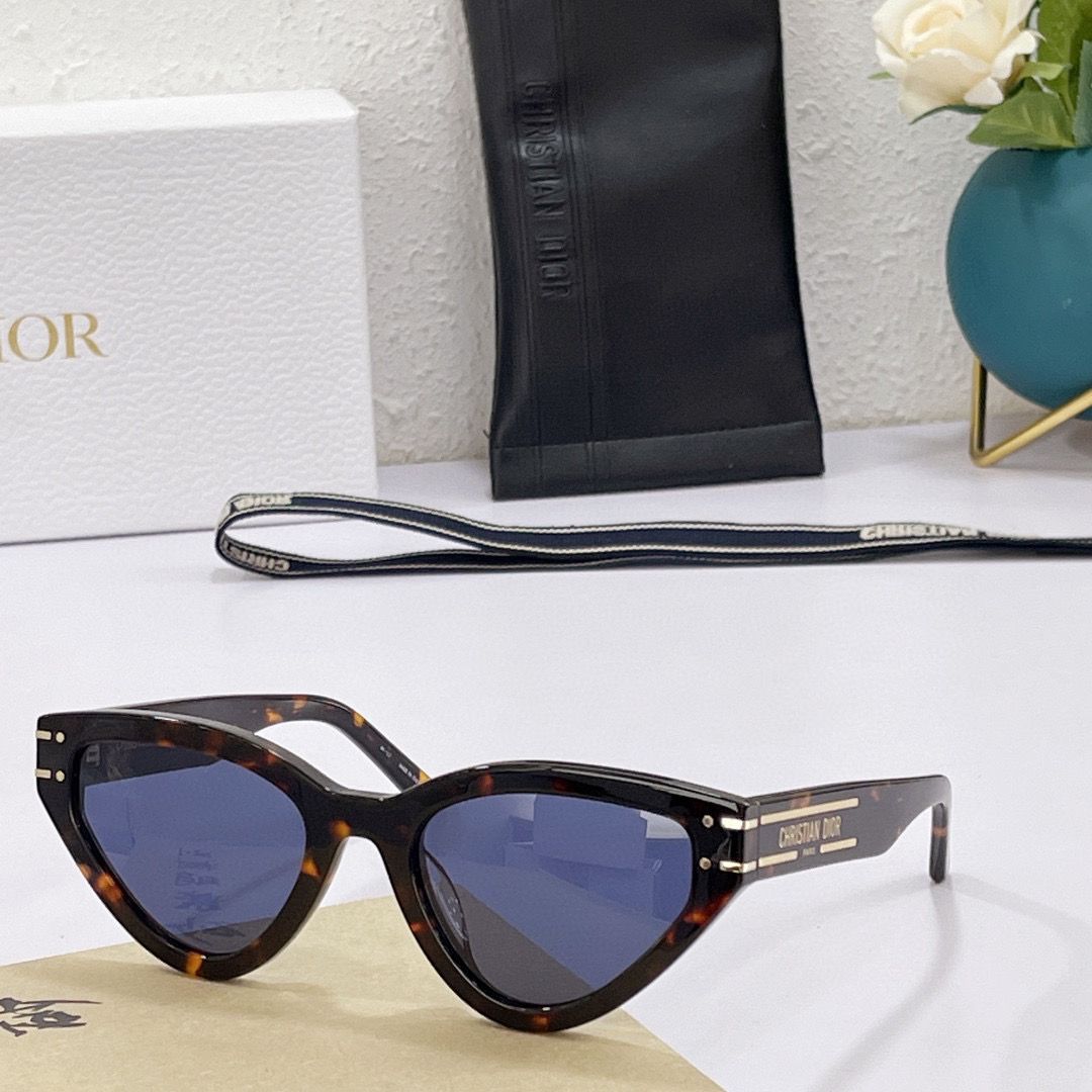 Dior Signature B2U