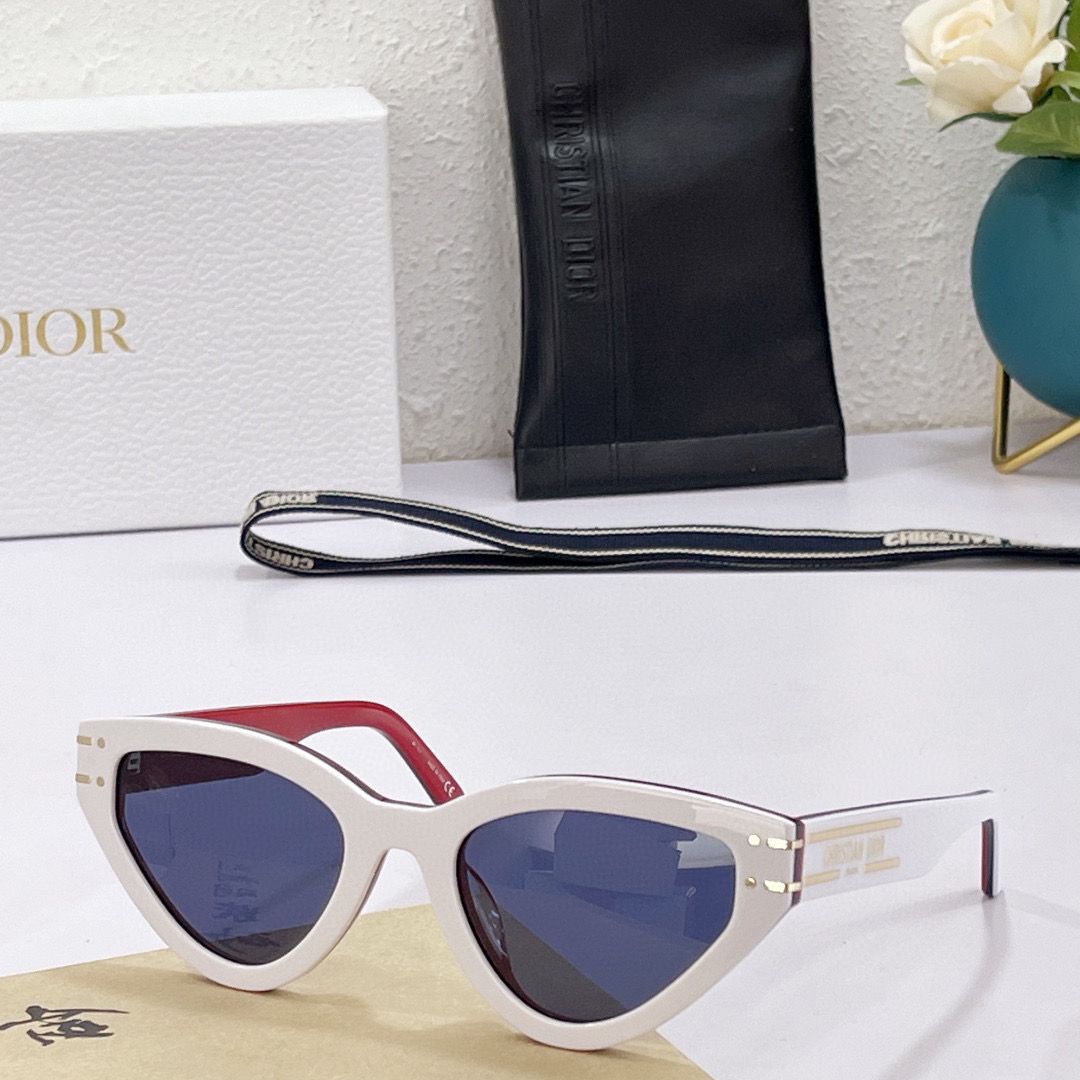 Dior Signature B2U