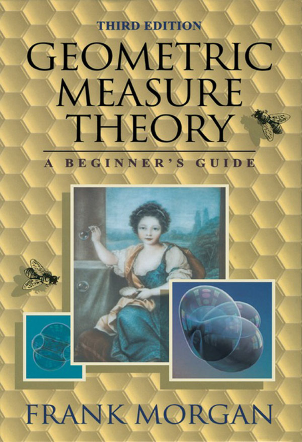 Geometric Measure Theory 3rd Edition