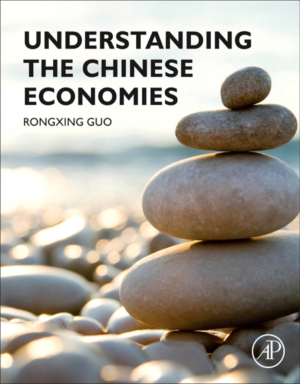 Understanding the Chinese Economies 