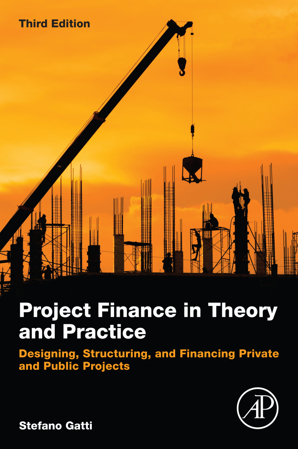 Project Finance in Theory and Practice Designing, Structuring, and Financing Private and Public Projects 3rd Edition