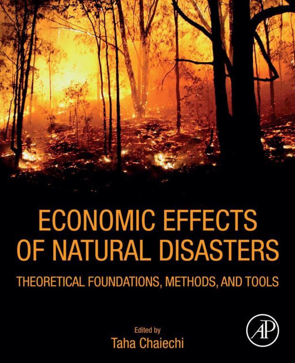 Economic Effects of Natural Disasters Theoretical Foundations, Methods, and Tools 1st Edition