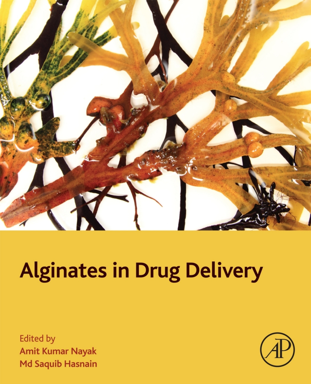 Alginates in Drug Delivery 1st Edition