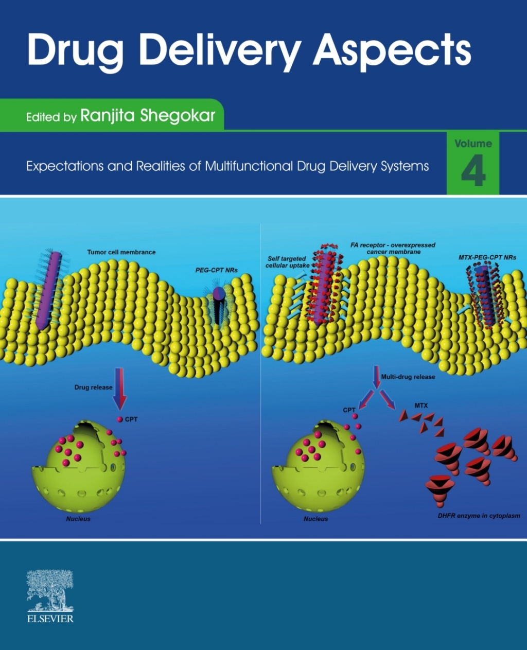 Drug Delivery Aspects Volume 4: Expectations and Realities of Multifunctional Drug Delivery Systems 1st Edition