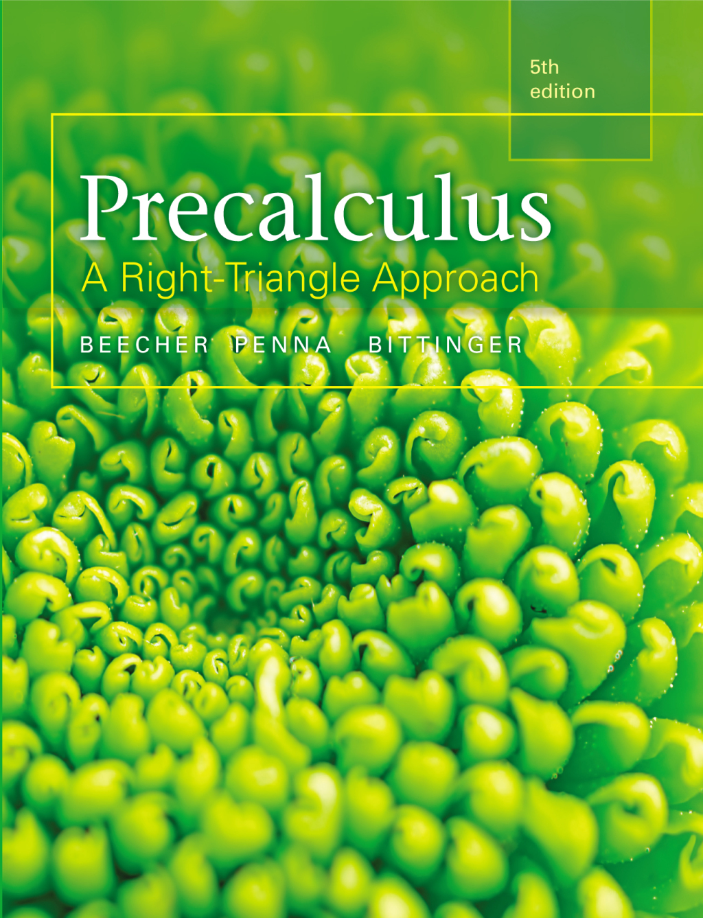 Precalculus: A Right Triangle Approach 5th Edition
