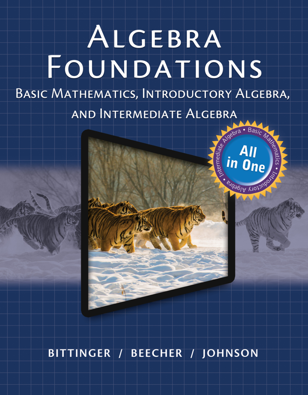 Algebra Foundations Basic Mathematics, Introductory Algebra, and Intermediate Algebra 1st Edition