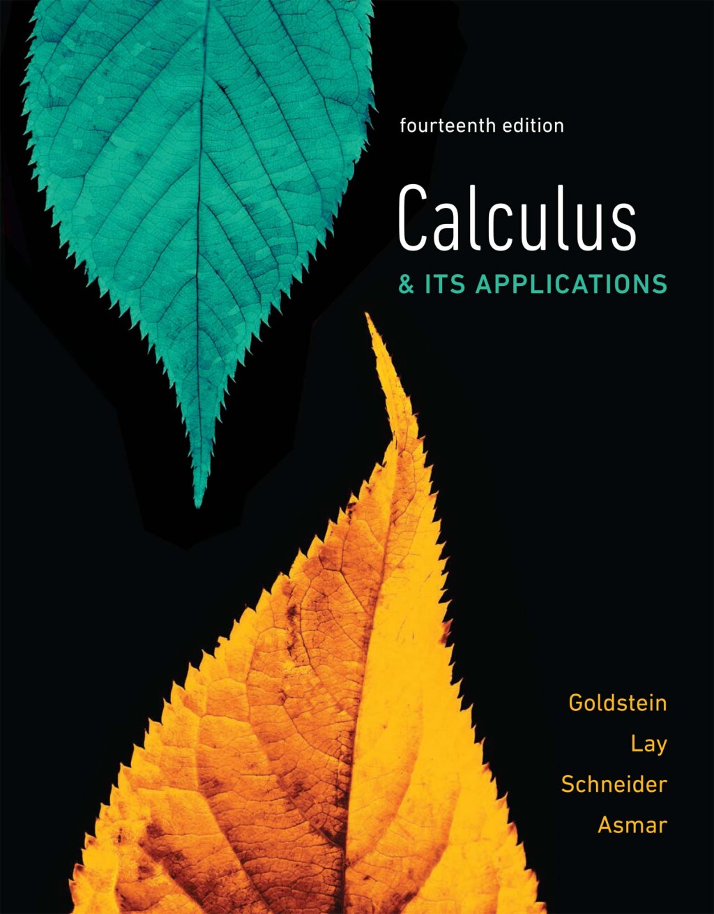 Calculus & Its Applications 14th Edition