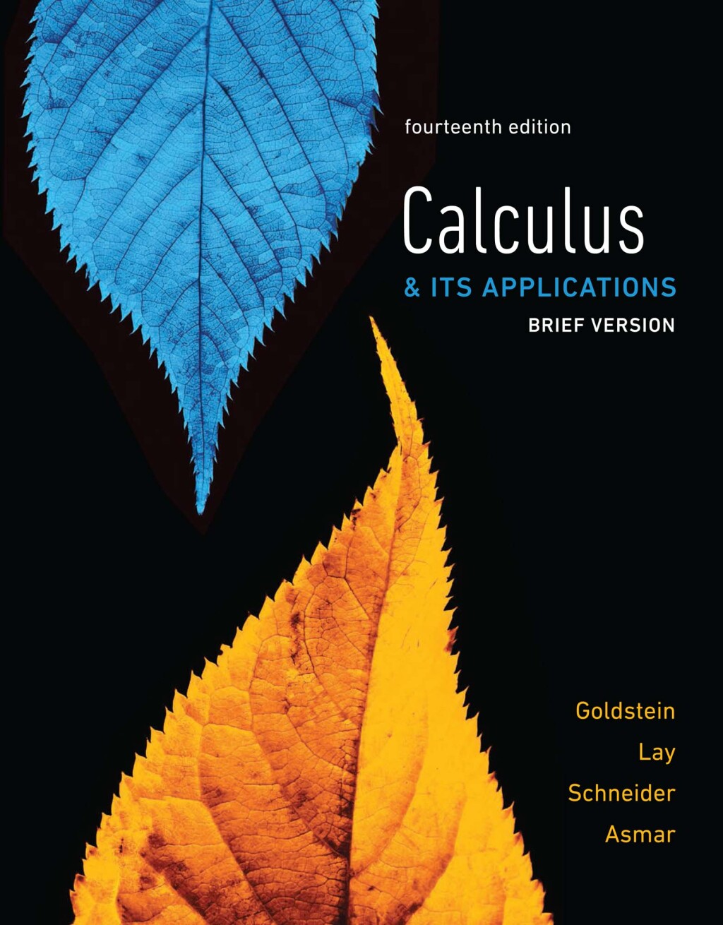Calculus & Its Applications, Brief Version 14th Edition