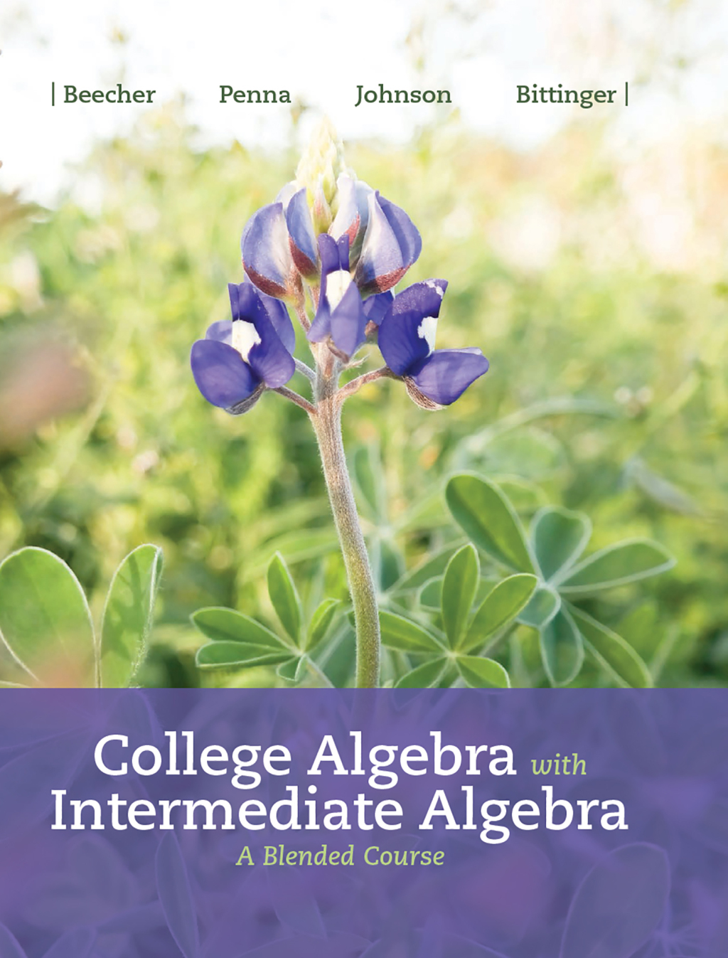 College Algebra with Intermediate Algebra A Blended Course 1st Edition