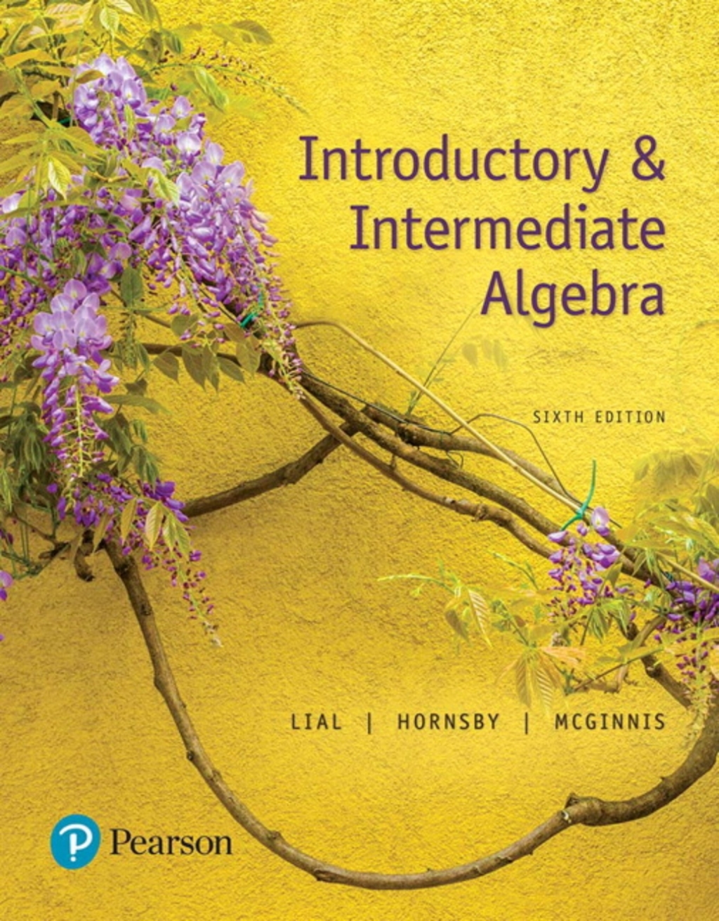 MyLab Math with Pearson (24 Months) for Introductory & Intermediate Algebra with Integrated Review 6th Edition