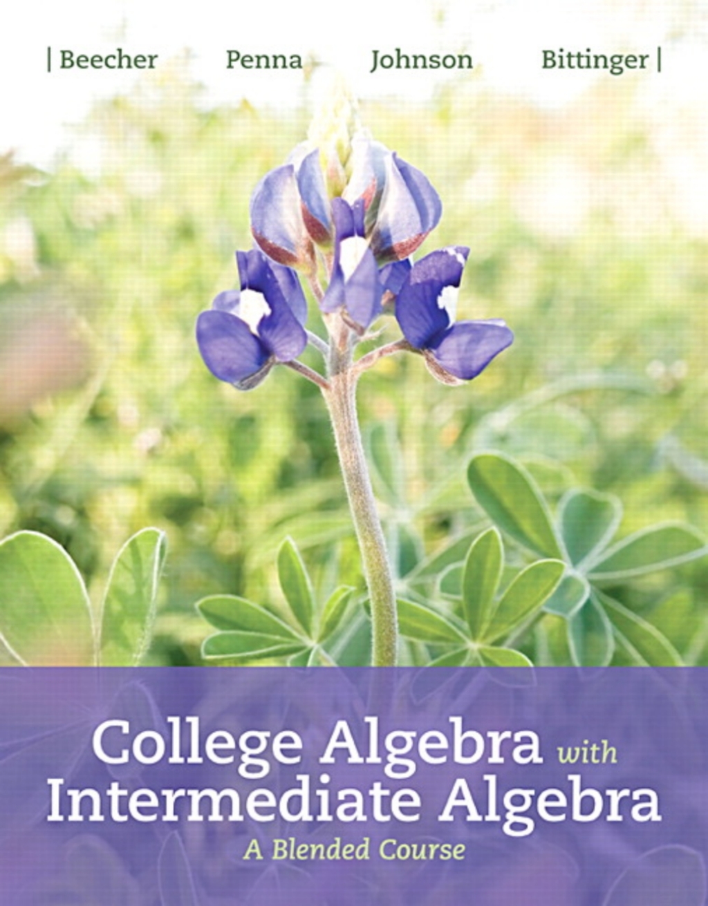MyLab Math with Pearson (18 Weeks) for College Algebra with Intermediate Algebra: A Blended Course A Blended Course 1st Edition