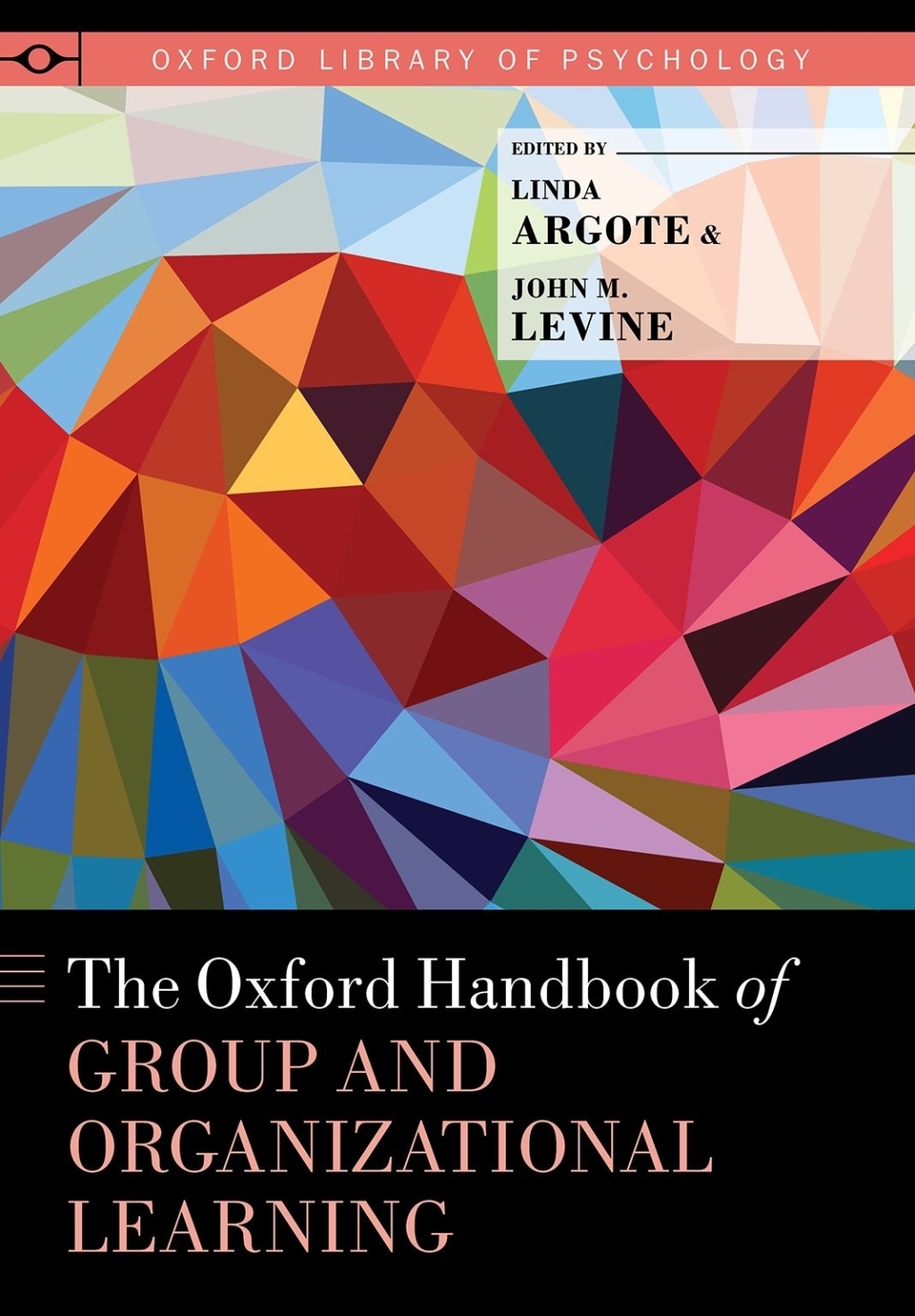 The Oxford Handbook of Group and Organizational Learning 1st Edition