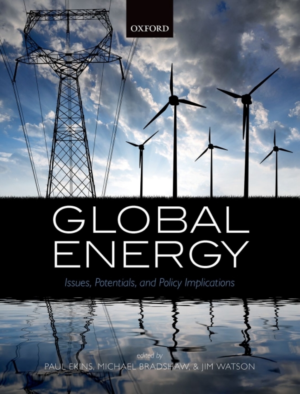 Global Energy Issues, Potentials, and Policy Implications 1st Edition