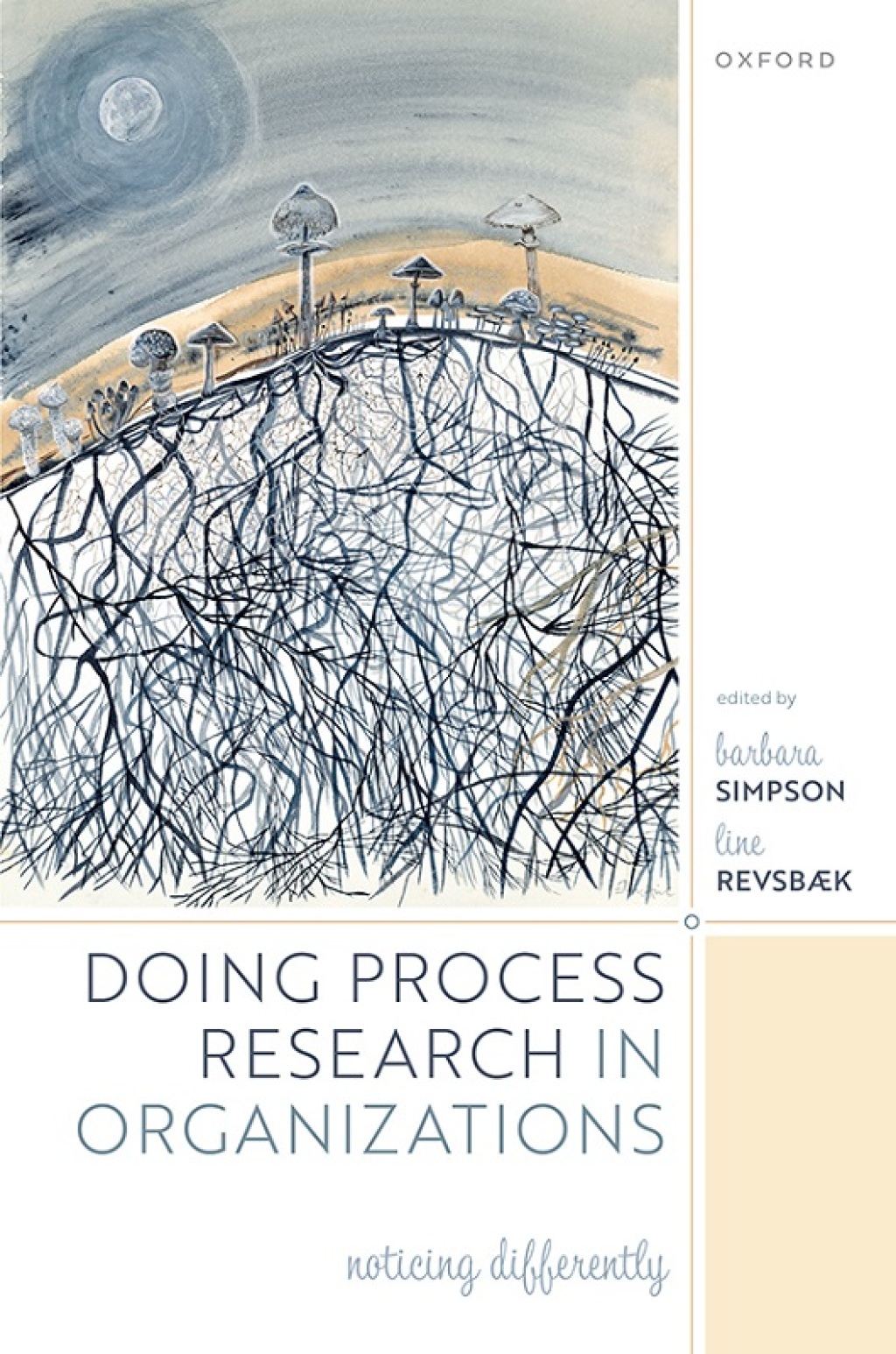 Doing Process Research in Organizations Noticing Differently 