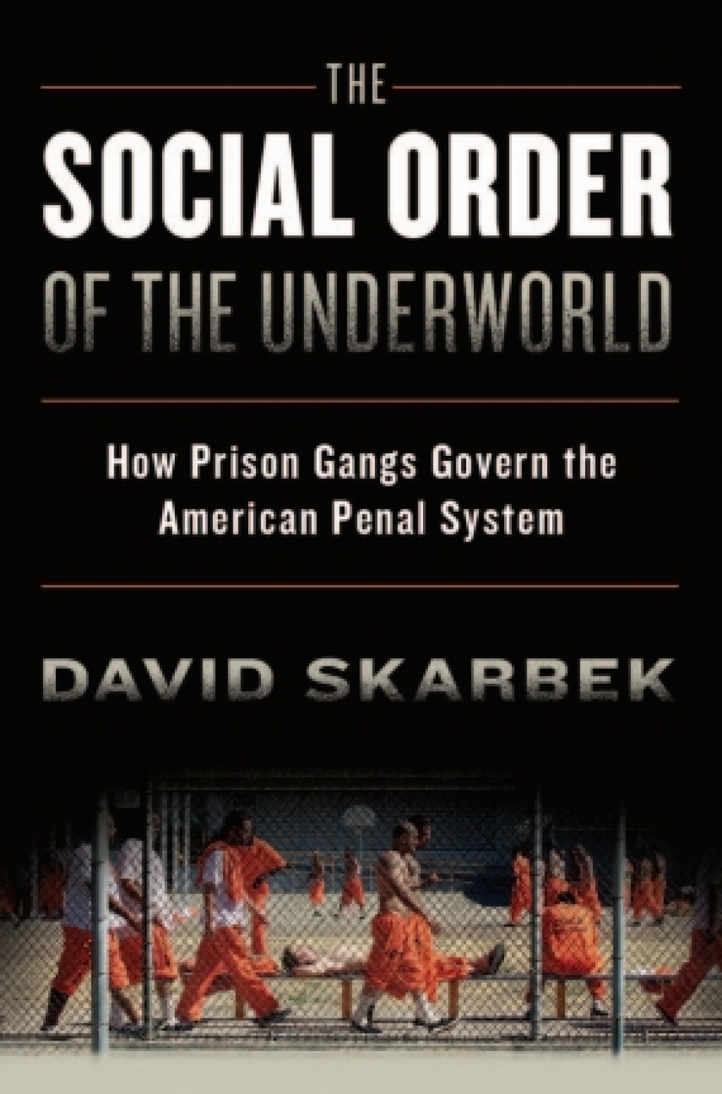 The Social Order of the Underworld How Prison Gangs Govern the American Penal System 