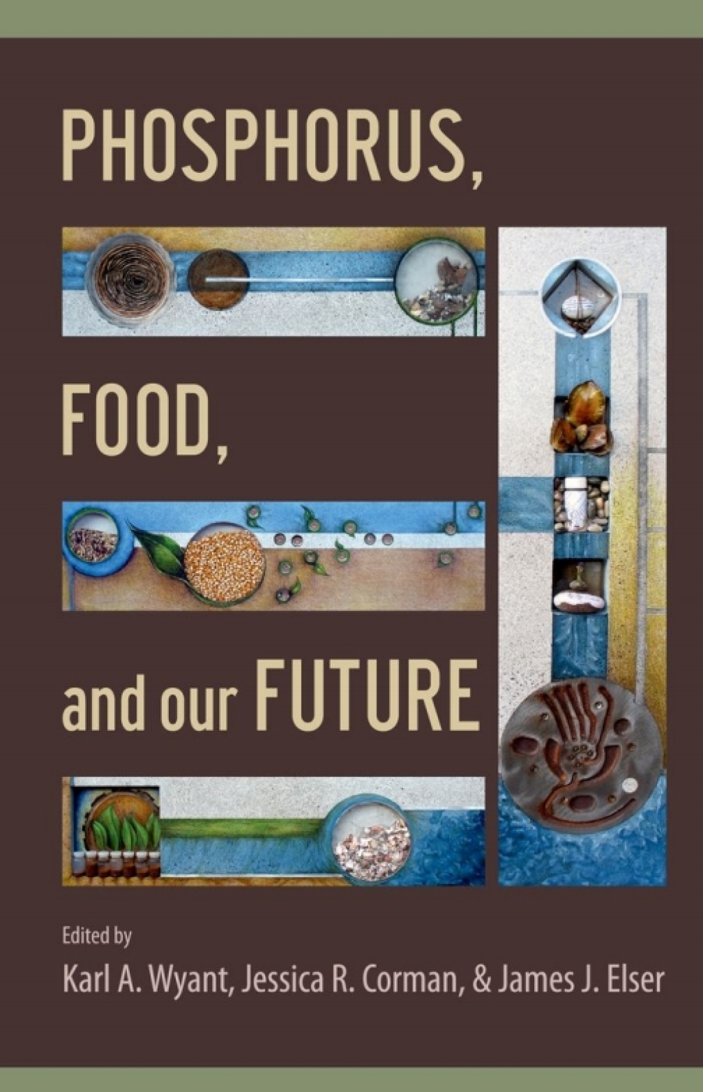 Phosphorus, Food, and Our Future 1st Edition