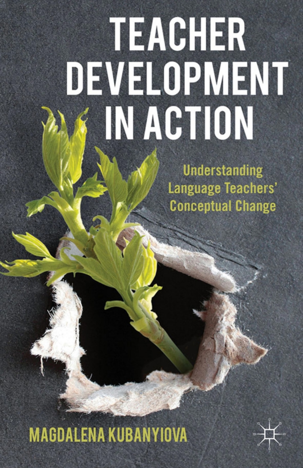 Teacher Development in Action Understanding Language Teachers' Conceptual Change 