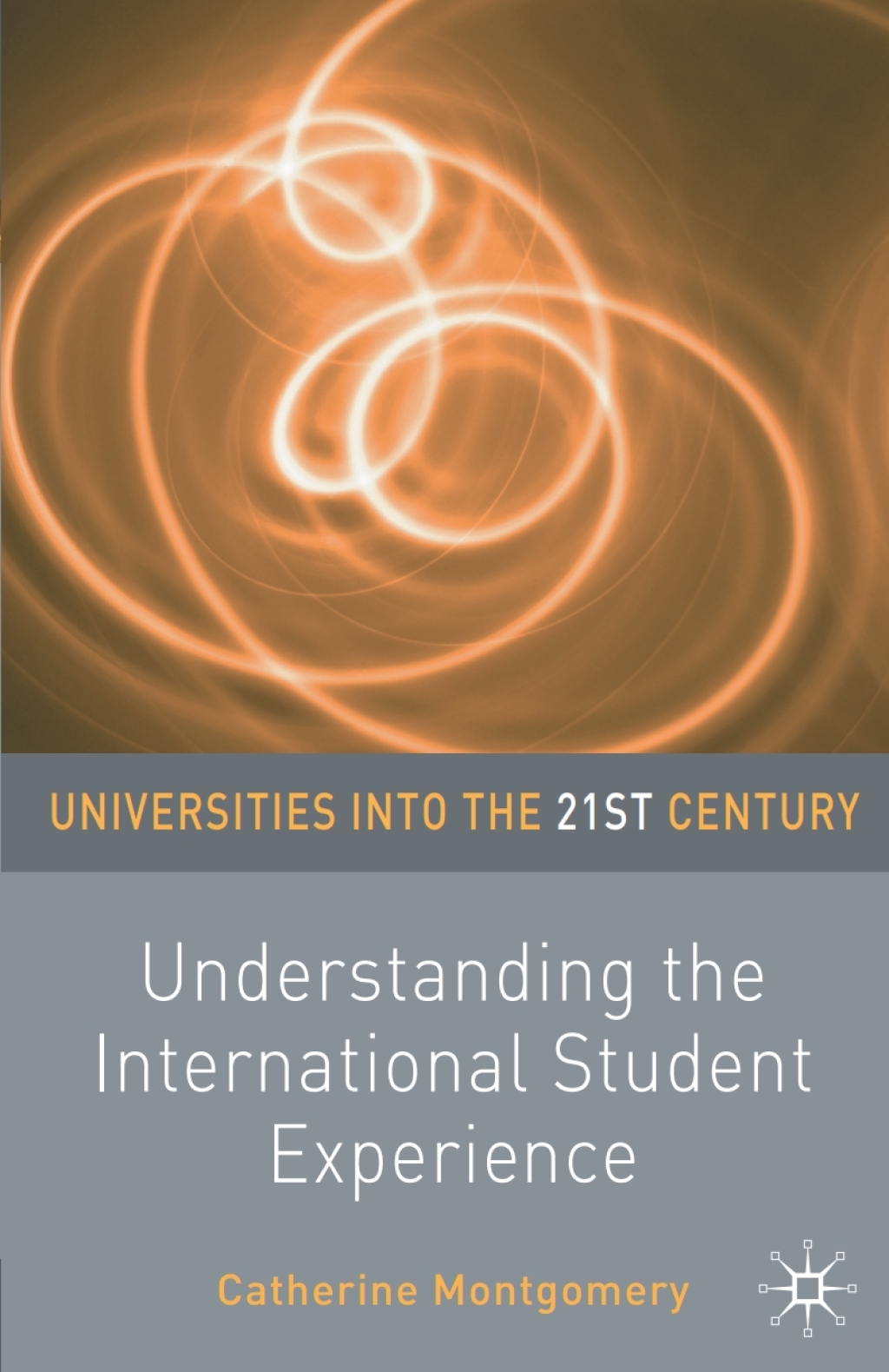 Understanding the International Student Experience 1st Edition