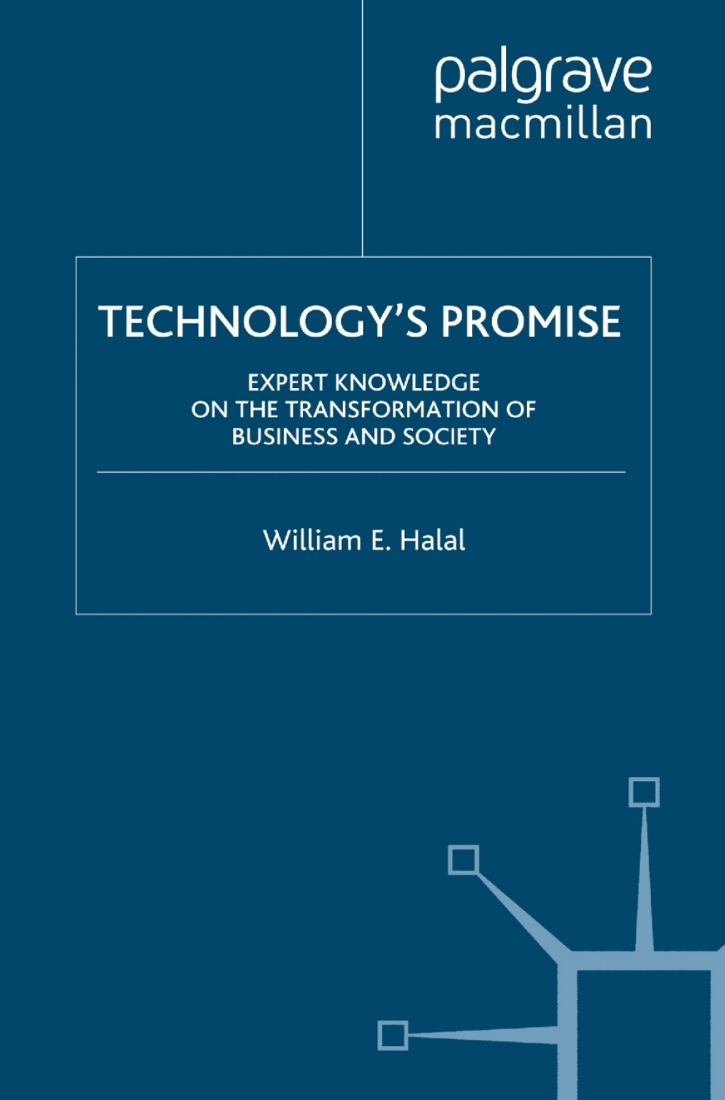 Technology's Promise Expert Knowledge on the Transformation of Business and Society 
