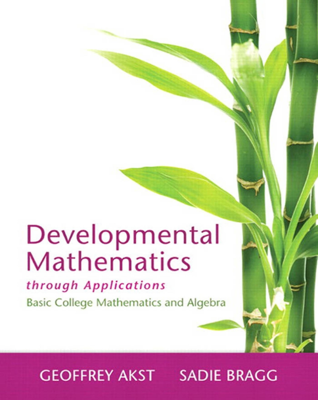 Developmental Mathematics through Applications Basic College Mathematics and Algebra 1st Edition