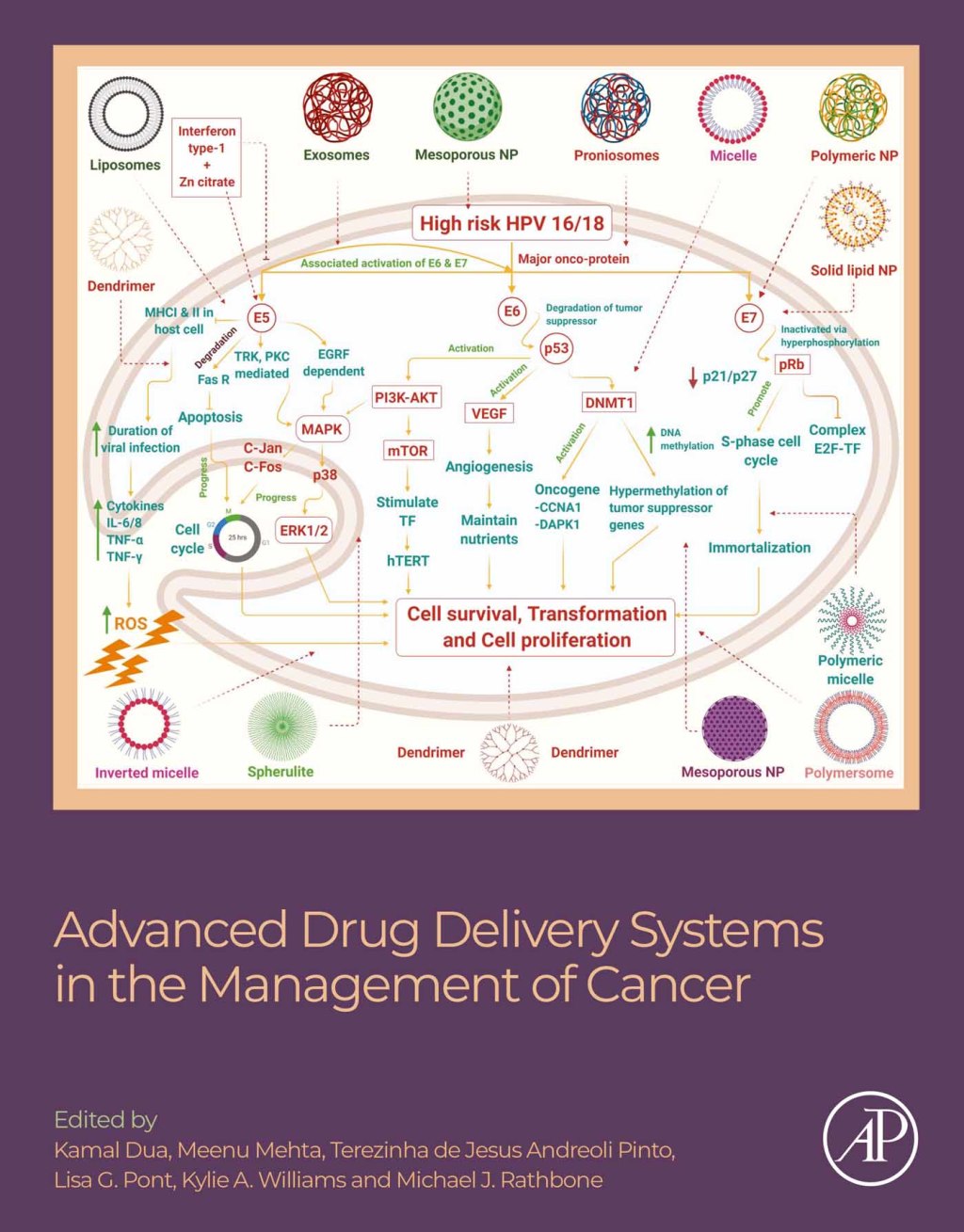 Advanced Drug Delivery Systems in the Management of Cancer 
