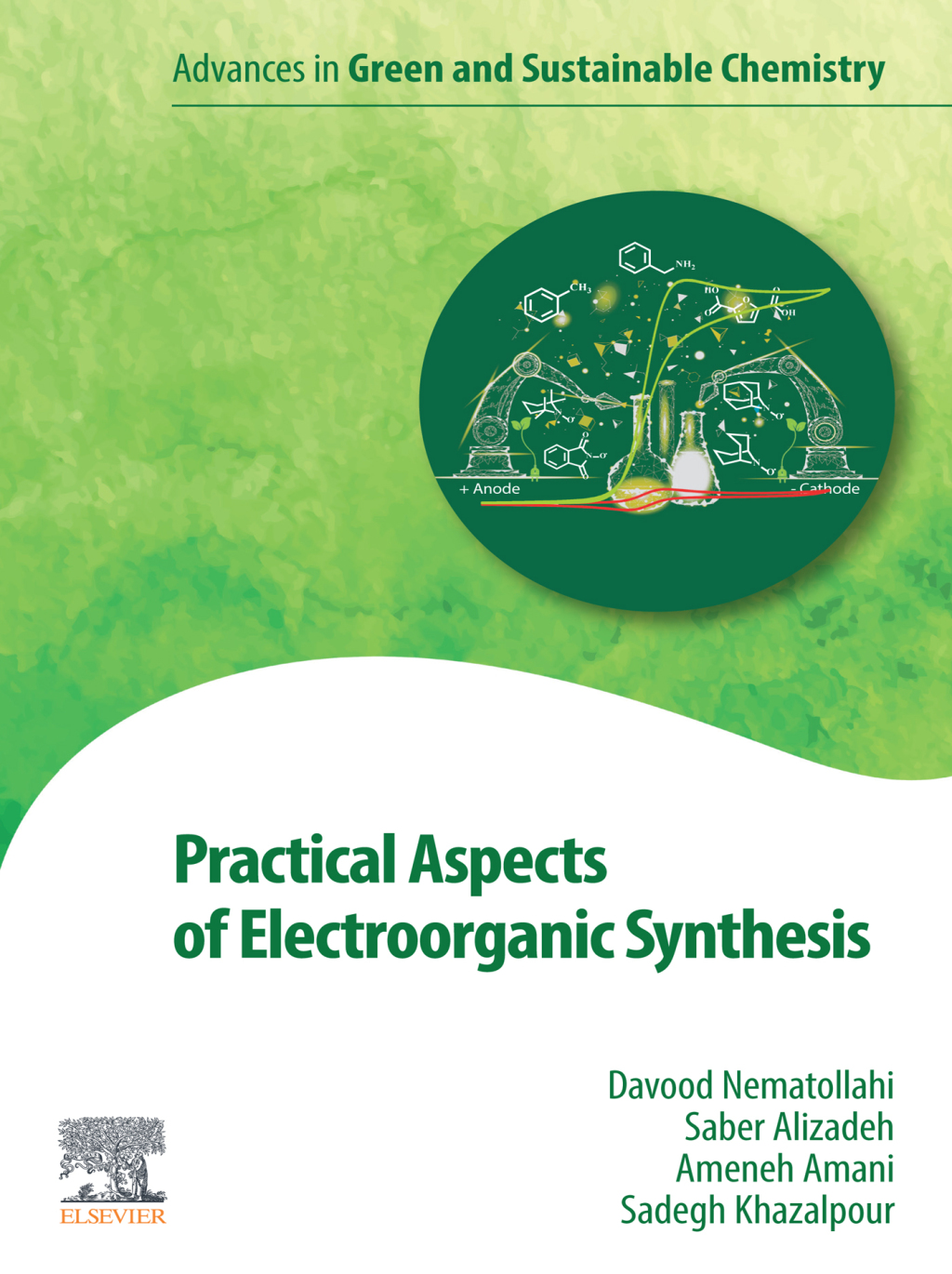 Practical Aspects of Electroorganic Synthesis 1st Edition